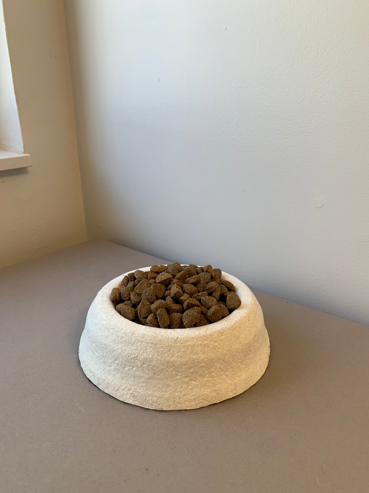 Pet Food Bowl