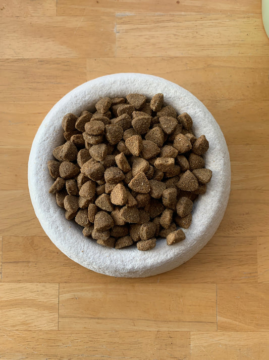 Pet Food Bowl