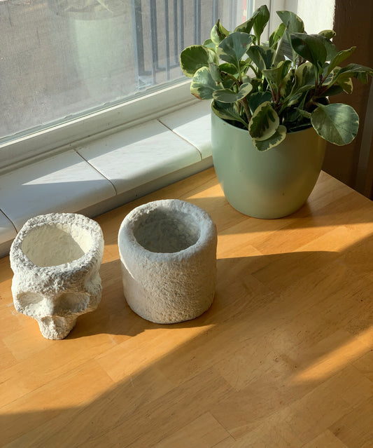 Skull Mycelium Planter